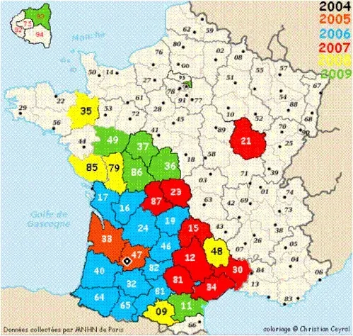 Carte de l'évolution du frelons asiatiques en France